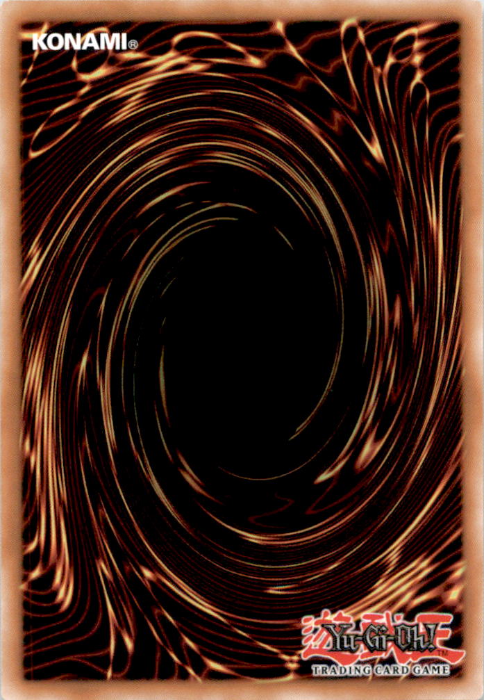 Rank-Up-Magic Argent Chaos Force Rare Maze of the Master MZTM-EN100 NM  MZTM-EN100 MZTM (Back)